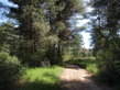 The pathway to beach